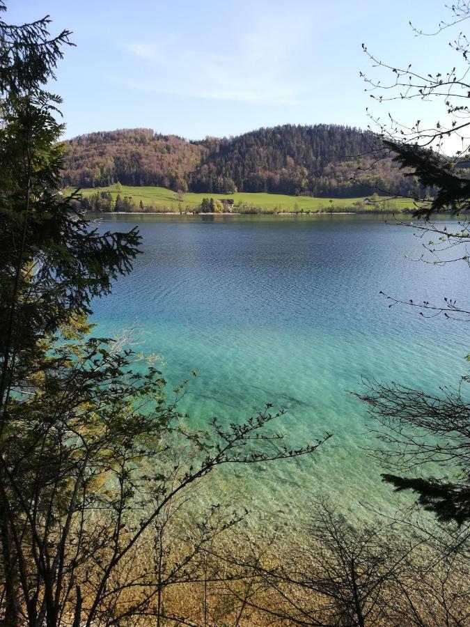 Appartementhaus Grill Strobl Zewnętrze zdjęcie